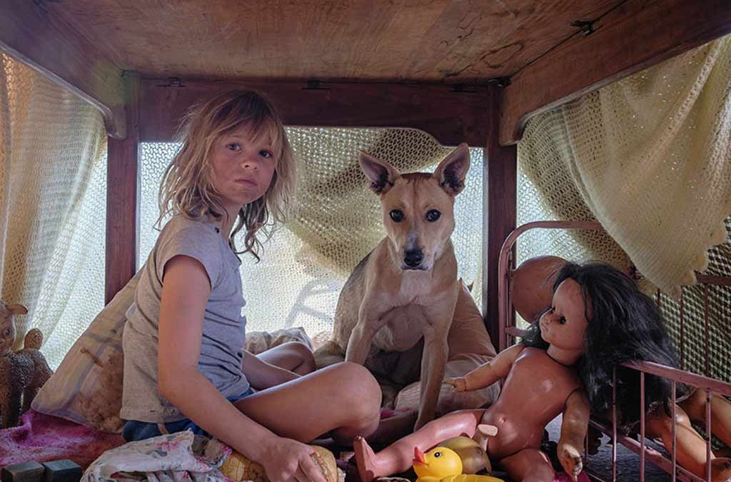 don't let's go to the dogs tonight movie