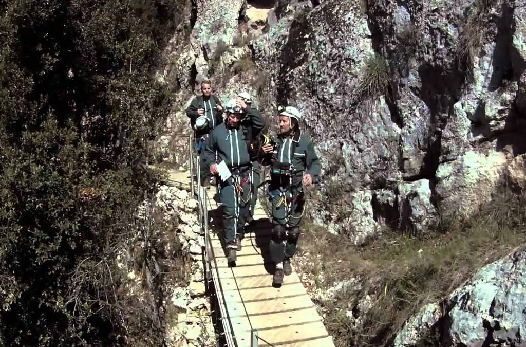 Cave of Forgotten Dreams Movie
