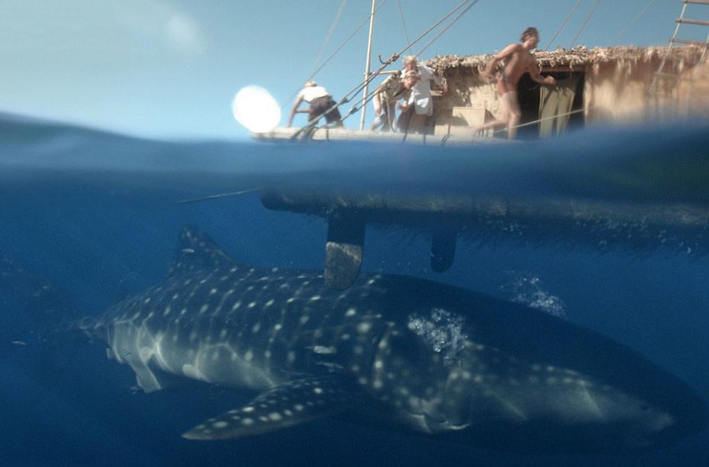 Kon-Tiki Movie